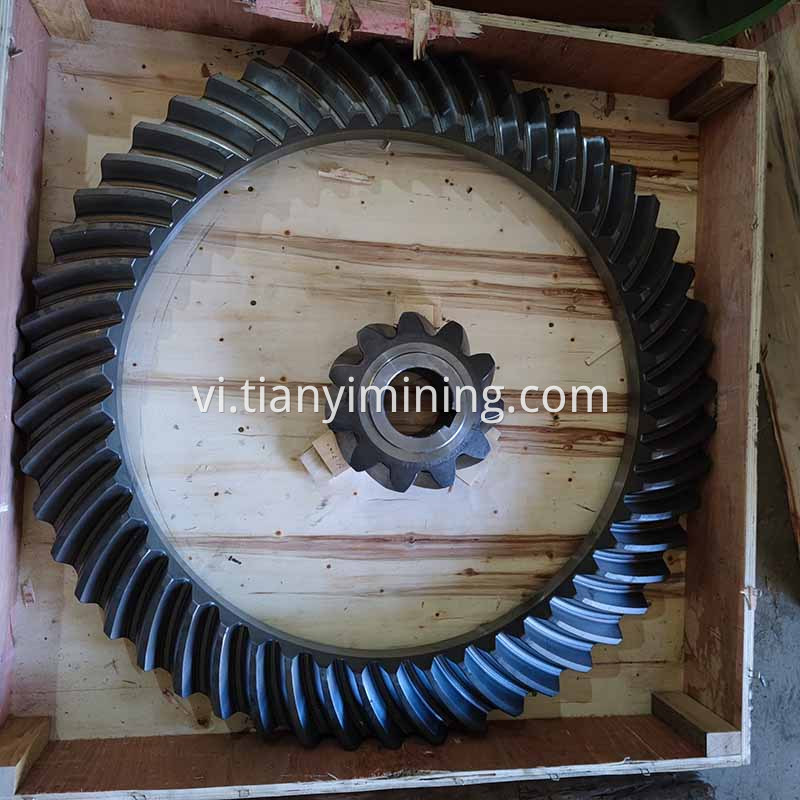 Máy nghiền bánh răng Crusher Pinion Gear